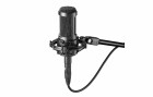 Audio-Technica Mikrofon AT2050, Typ: Einzelmikrofon, Bauweise