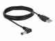 Immagine 3 DeLock USB-Stromkabel A - Power