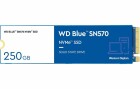 Western Digital WD Blue SN570 NVMe SSD WDS250G3B0C - SSD