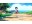 Immagine 11 Nintendo Pokémon Purpur: Der Schatz von Zone Null, Für