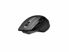 Rapoo Maus MT750S Multi-Mode, Maus-Typ