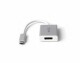LMP Adapter USB-C - DP Silber, Kabeltyp: Adapter