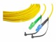 Lightwin - Patch cable - LC single-mode (M) to