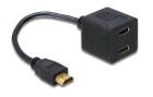 DeLock 2-Port Signalsplitter HDMI ? HDMI, Anzahl Ports: 2