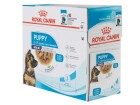 Royal Canin Nassfutter Health Nutrition Maxi Puppy Sauce, 10 x
