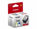 Canon Tinte CL-546XL / 8288B001, Druckleistung Seiten: 300 ×