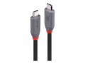 LINDY 0.8m USB 4 240W Type C Cable
