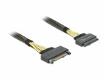 DeLock SAS-Kabel SFF-8639 - SFF-8639 Verlängerung, 1m 100 cm