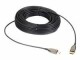 Black Box Active Optical Cable - DisplayPort-Kabel - DisplayPort
