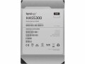 Synology Harddisk HAS5300 3.5" SAS