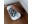 Bild 2 Bosign Kabelbox 300 x 180 x 138 mm, Breite