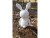 Image 3 Jabadabado Geschenkset Buddy Bunny, Material: Baumwolle, Polyester