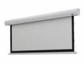 Celexon Motorleinwand HomeCinema Tension 220x124 cm 16:9