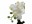 Bild 1 Botanic-Haus Kunstblume Phalenopsis 1 Rispe im Topf, Weiss, Produkttyp