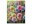 Immagine 1 Schipper Malen nach Zahlen Blütenfeuerwerk, Altersempfehlung ab