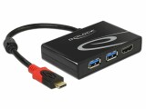 DeLock Dockingstation USB 3.1 Typ-C Gen1 - 2x Typ-A