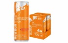 Red Bull Energy Drink Apricot Edition, 4 x 250 ml