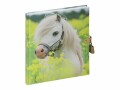 Pagna Tagebuch kleines Pony, Farbe