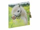 Pagna Tagebuch kleines Pony, Motiv: Pony, Medienformat: 155 x