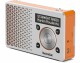 TechniSat DigitRadio 1 Orange, Radio Tuner: FM, DAB+, Stromversorgung