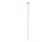 Image 5 Apple USB-C to Lightning Cable - - câble Lightning