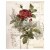 Bild 0 Redesign Decor Transferfolie - Botanical Rose