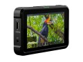 Atomos Monitor Shinobi HDMI