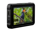 Atomos Monitor Shinobi, Schnittstellen