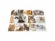 HERMA Schreibunterlage Katzen 55 x 35 cm, Kalender