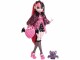 Monster High Puppe Monster High Draculaura, Altersempfehlung ab: 4