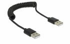 DeLock USB 2.0-Spiralkabel USB A - USB A