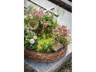Opiflor Pflanzentopf mit Harzoptik Braun/Terracotta, Nachhaltige