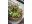 Image 0 Opiflor Pflanzentopf mit Harzoptik Braun/Terracotta, Nachhaltige